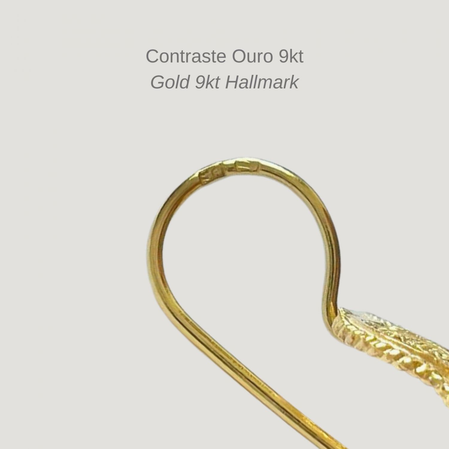 Earrings Heart of Viana M in 9Kt Gold 